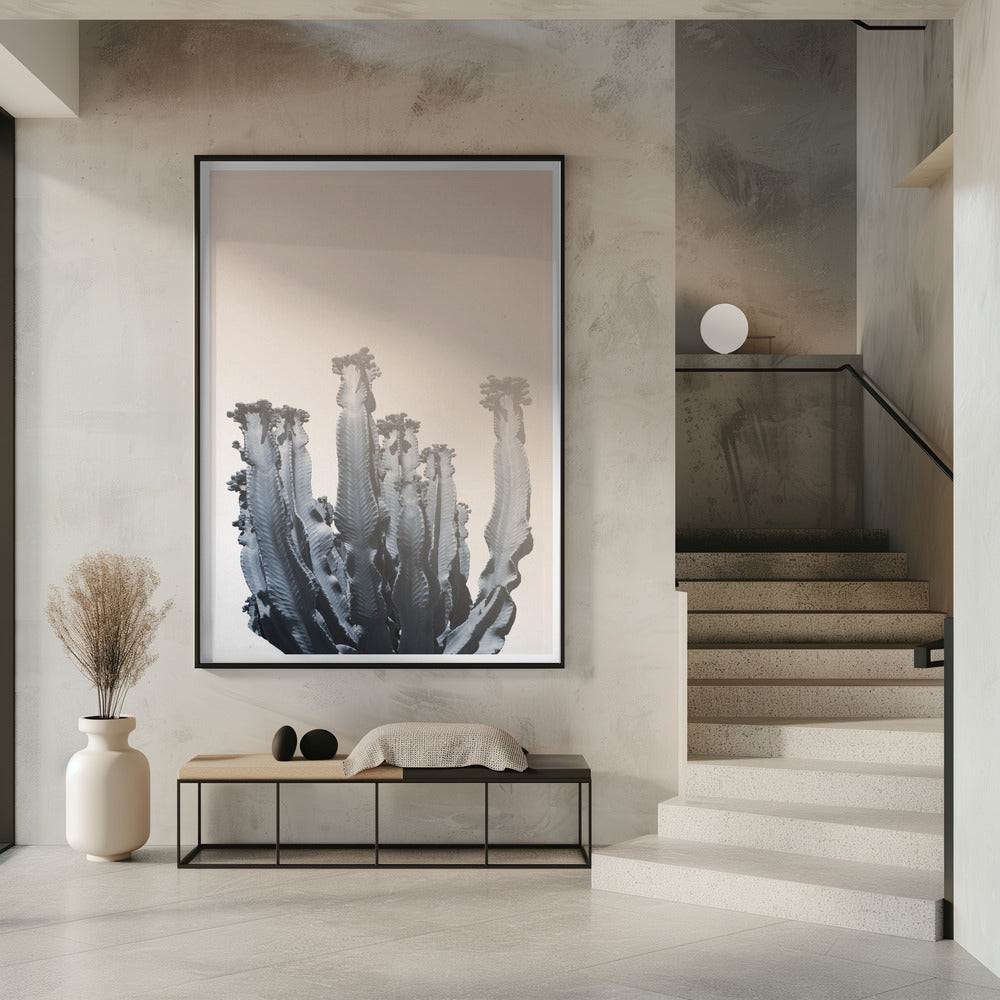 Cactus Silhouettes | Poster