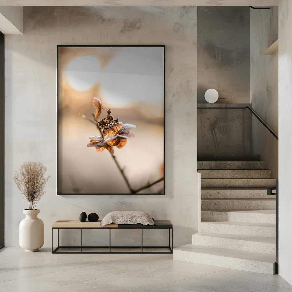 Hydrangea 4 | Poster