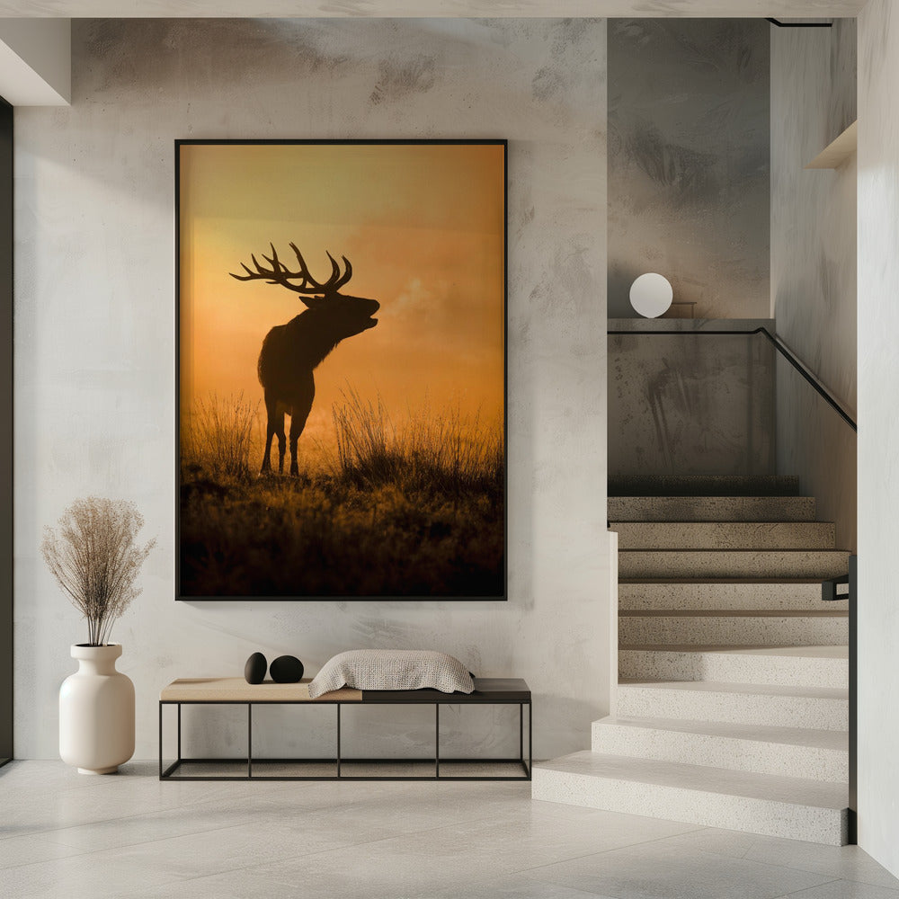 Morning call | Poster