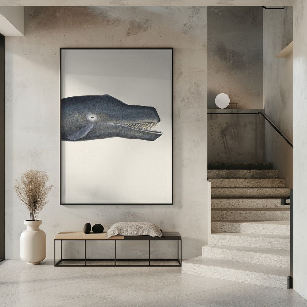 Whale I Tight Crop   Handcolored Sealife Lithograph 1824 | Poster