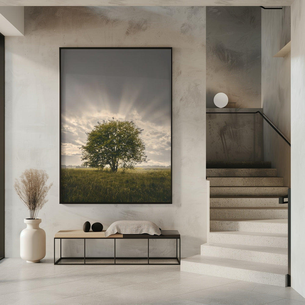 20220616  Dsf4394 | Poster