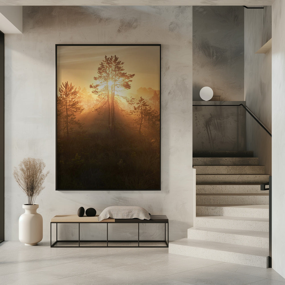 20220809  Dsf8009 Hdr 1 | Poster