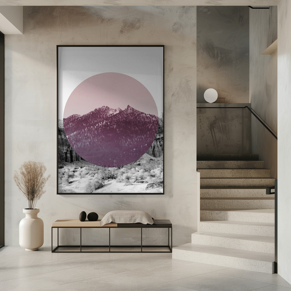 Shapes In Nature I | Poster