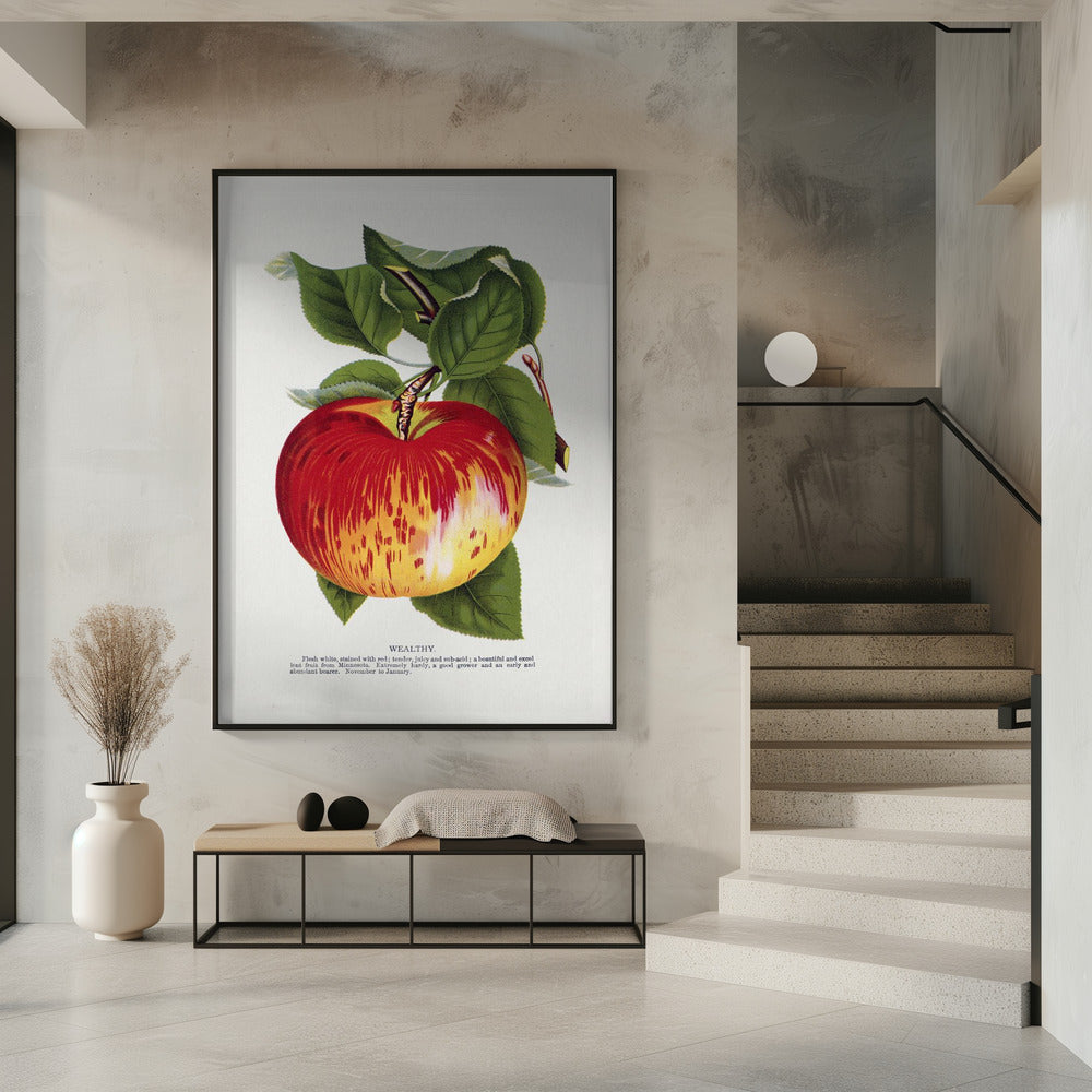 Wealthy Apple Lithograph | Poster