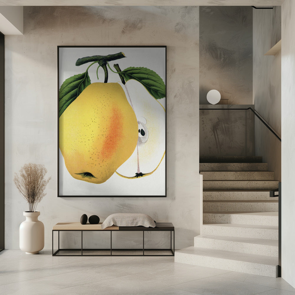 Kiefer's Hybrid Pear Lithograph | Poster