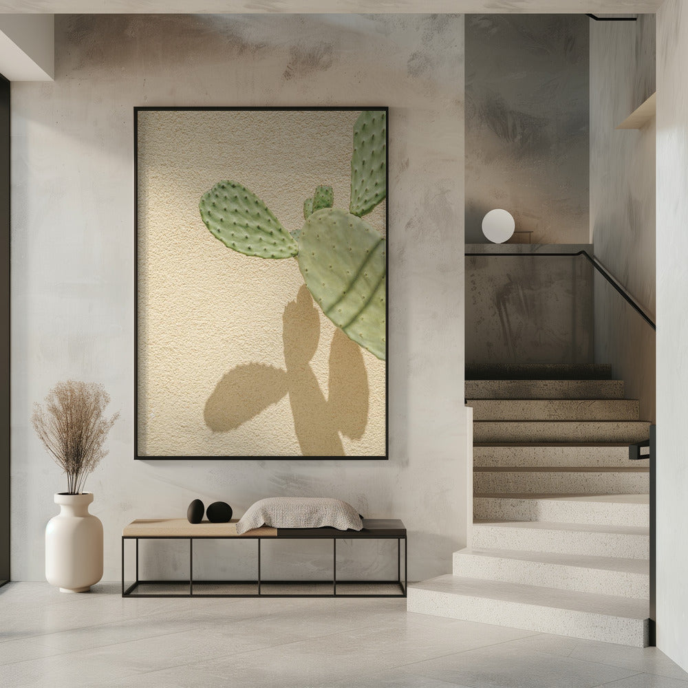 Cacti Shadowplay | Poster