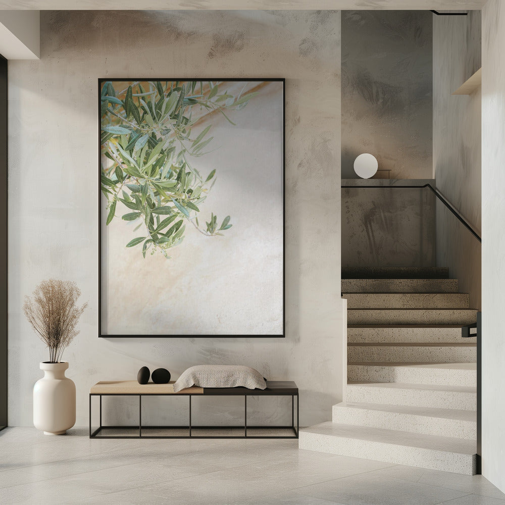 Olive Tree Leaves | Poster