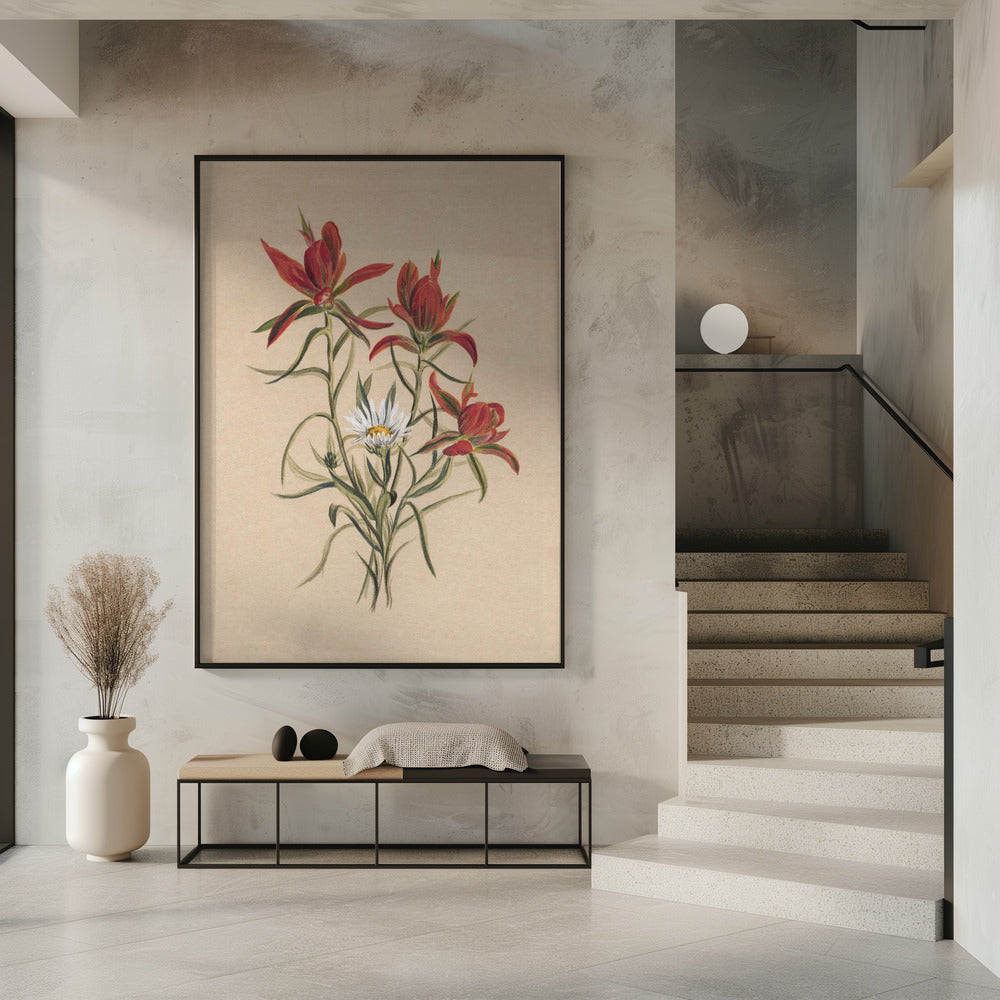 Indian Paintbrush (1883) | Poster