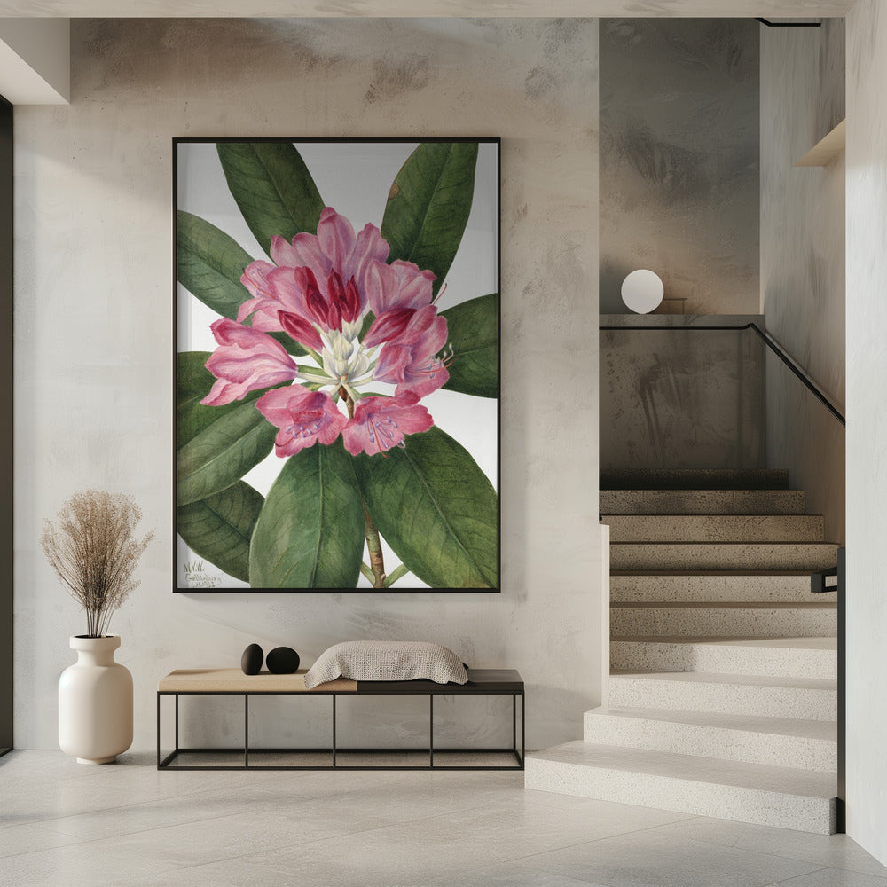 Mountain Rose Bay (1932) | Poster