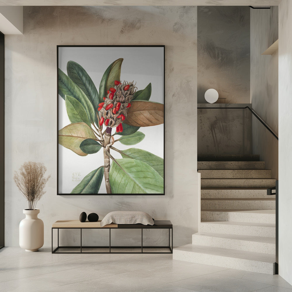 Southern Magnolia (1923) | Poster