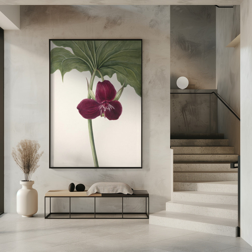 Sweet Trillium | Poster