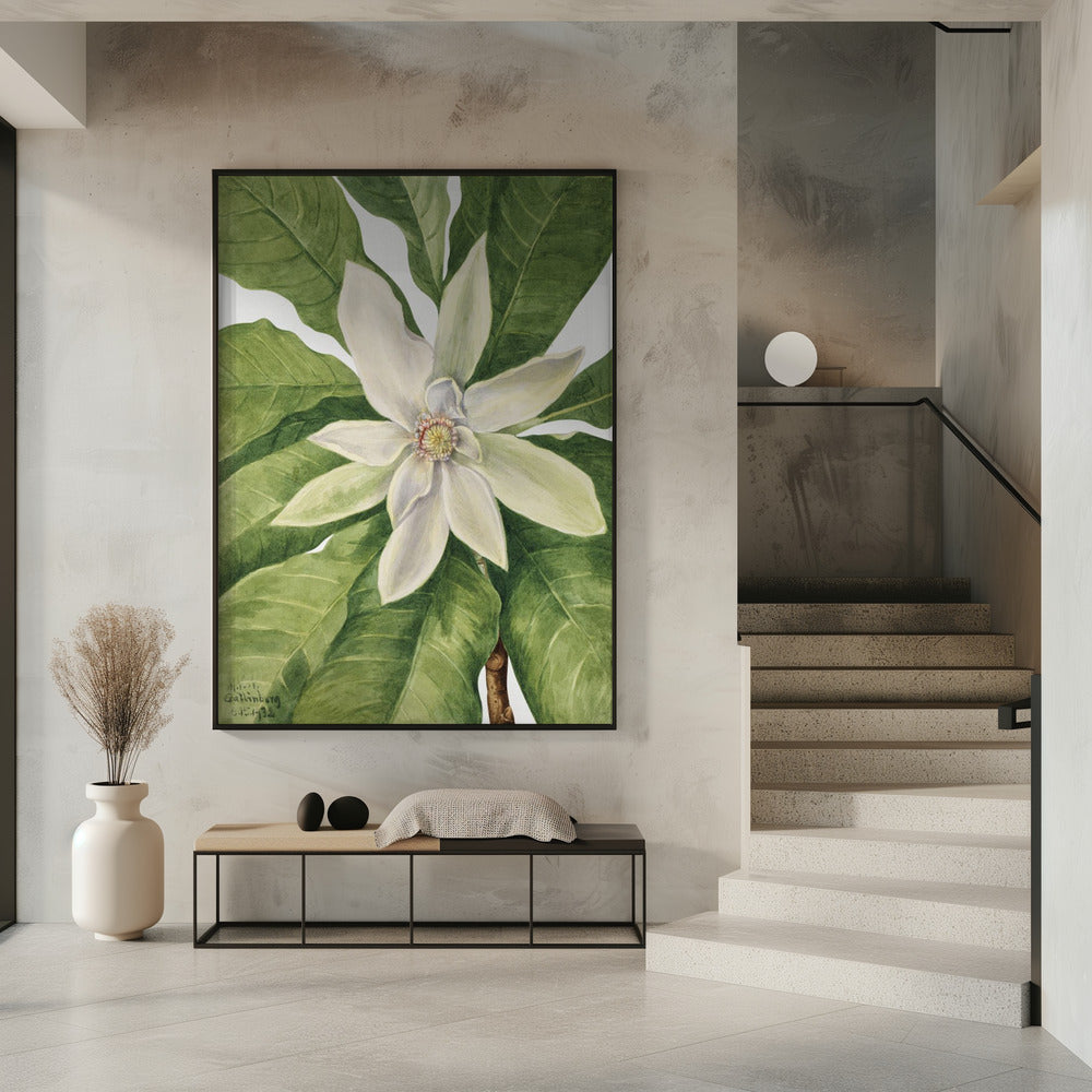 Umbrella Tree (1932) | Poster