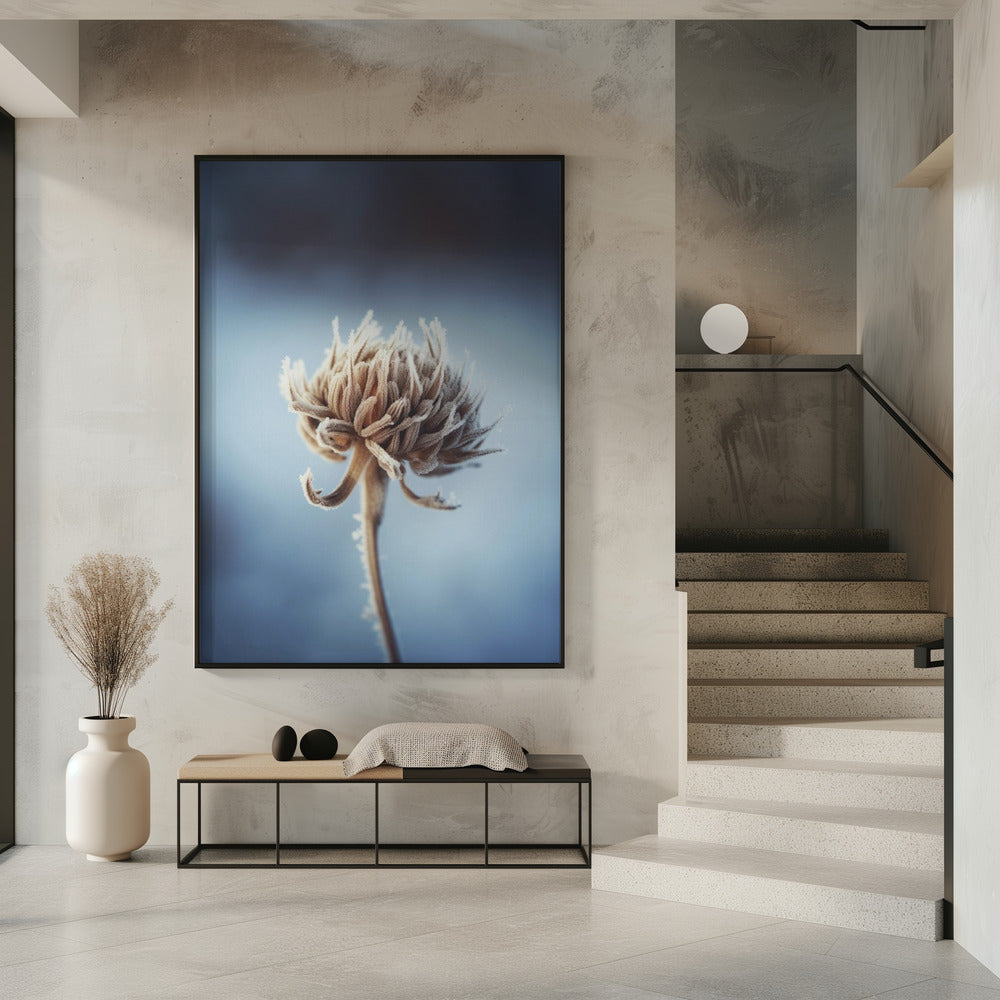 Frosted Blossom | Poster