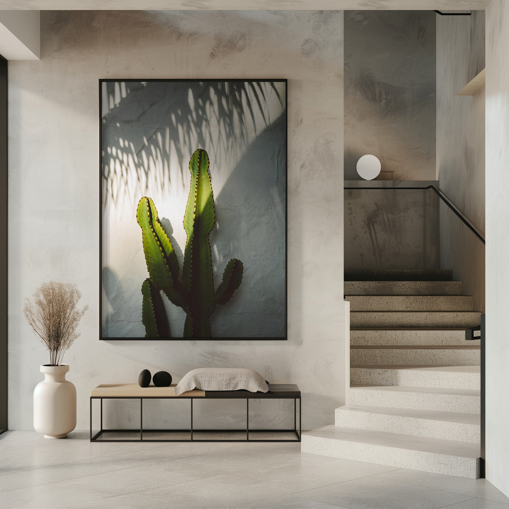 Socal Shadows | Poster