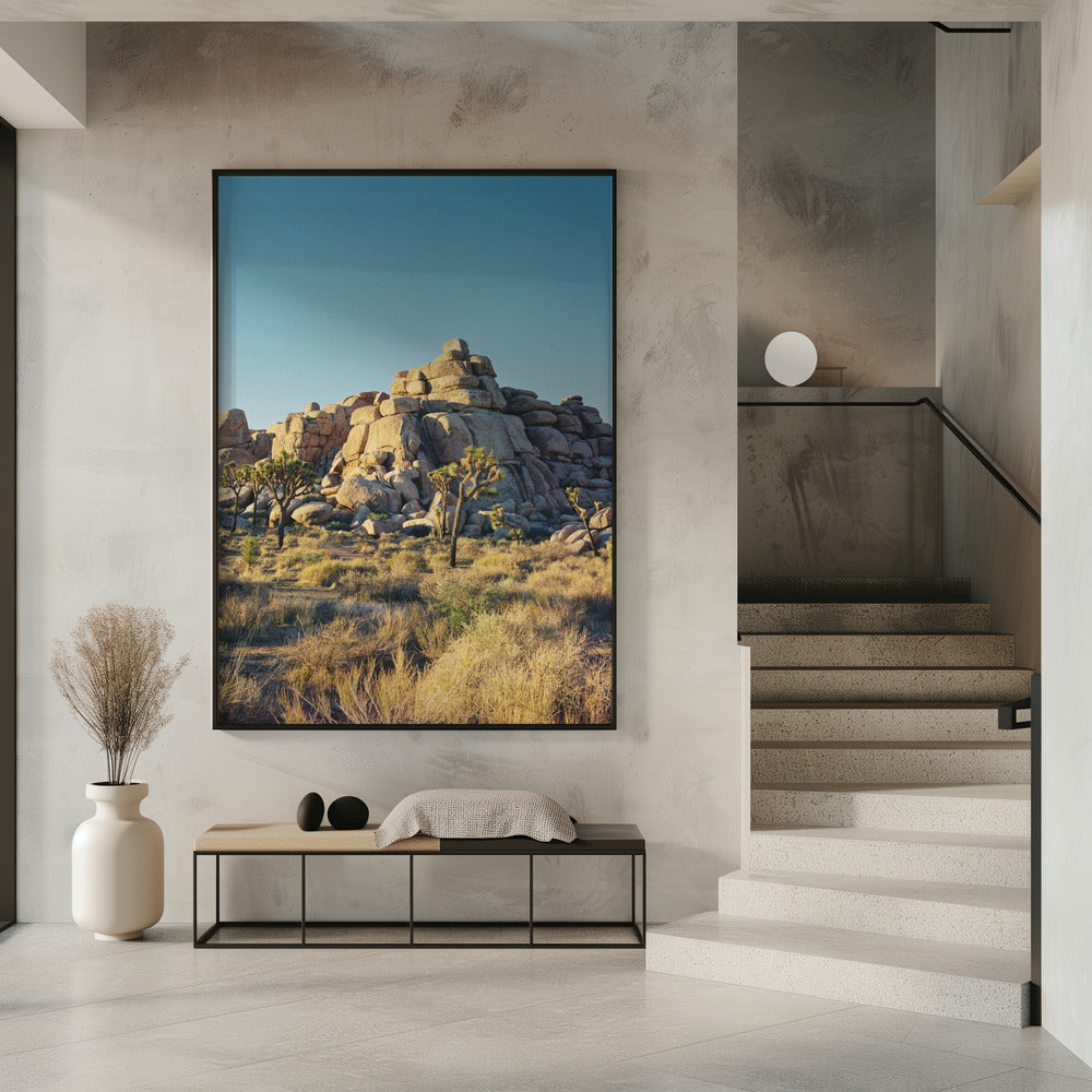 Joshua Tree Sunset | Poster