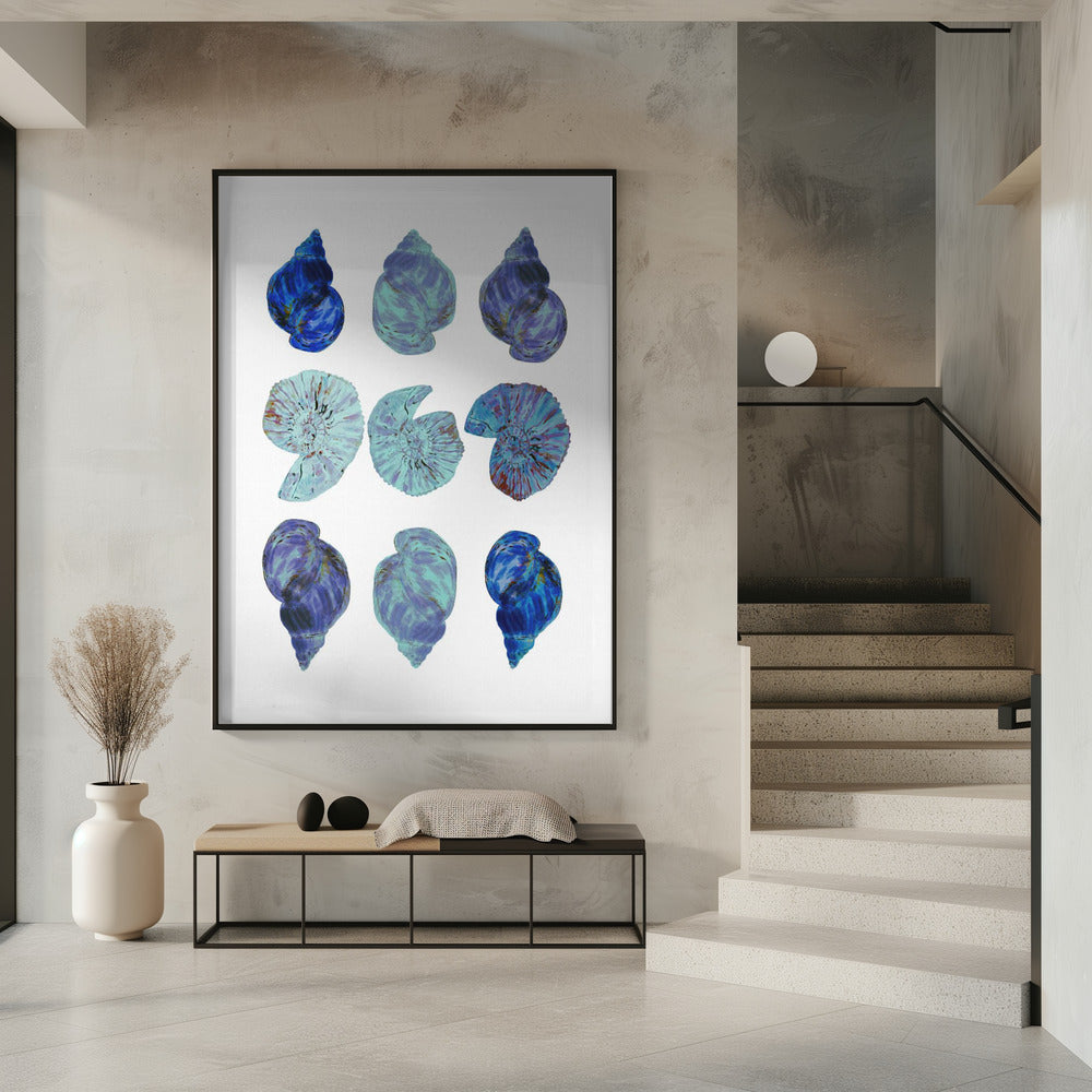 Blue Sea Shells Poster | Poster