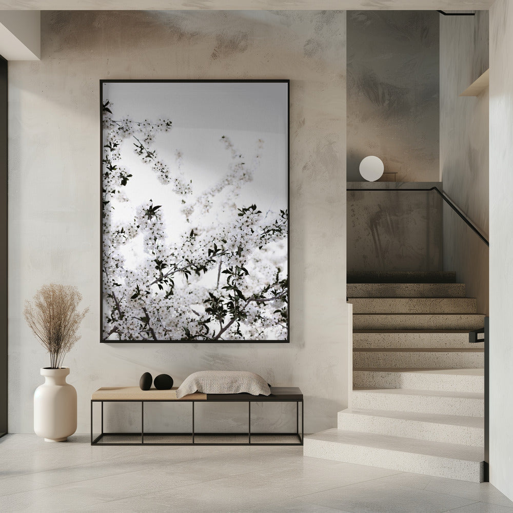 White Spring Tree 3 | Poster