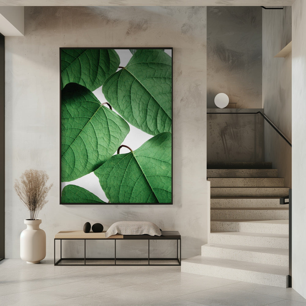 Summer Branches | Poster