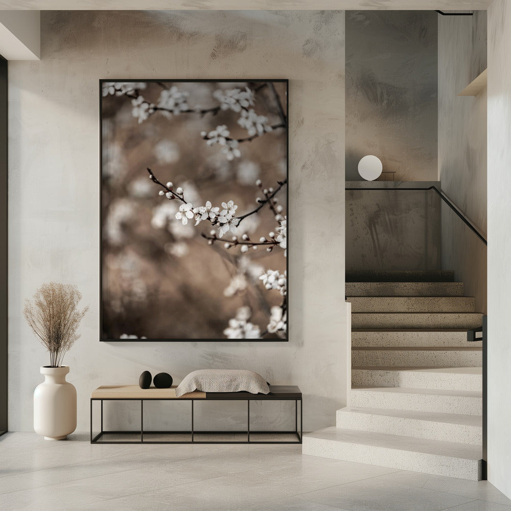 Last Spring 1 | Poster