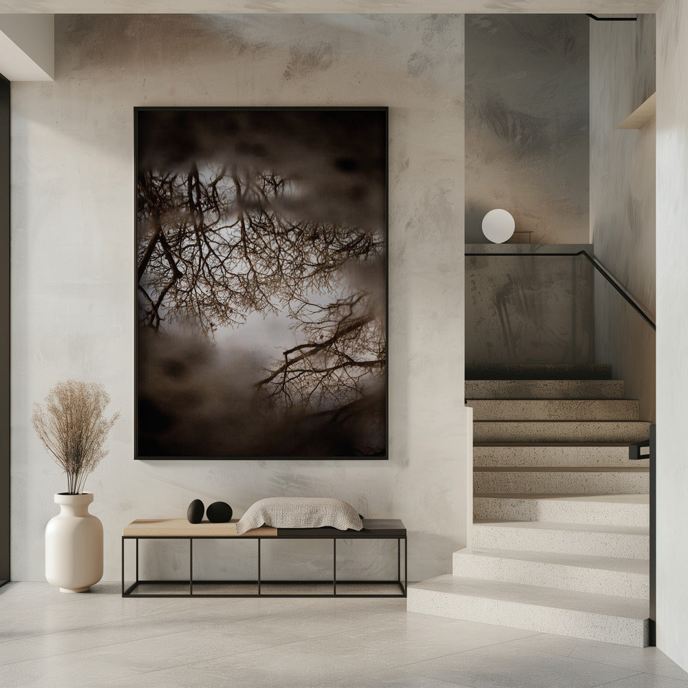 Winter Reflections | Poster