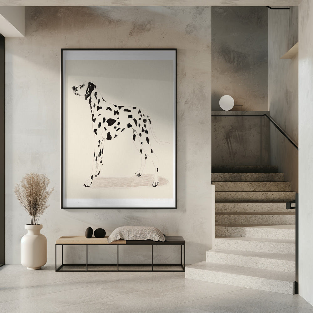 Pandc Dalmation | Poster