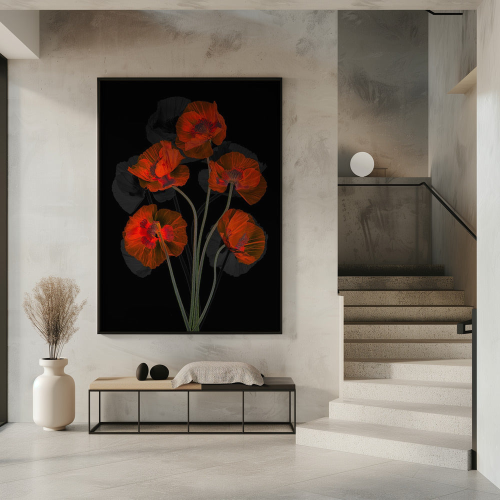 Glaceful Red Poppy | Poster