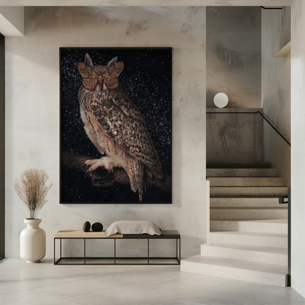 Camouflage and Stars Colour | Poster