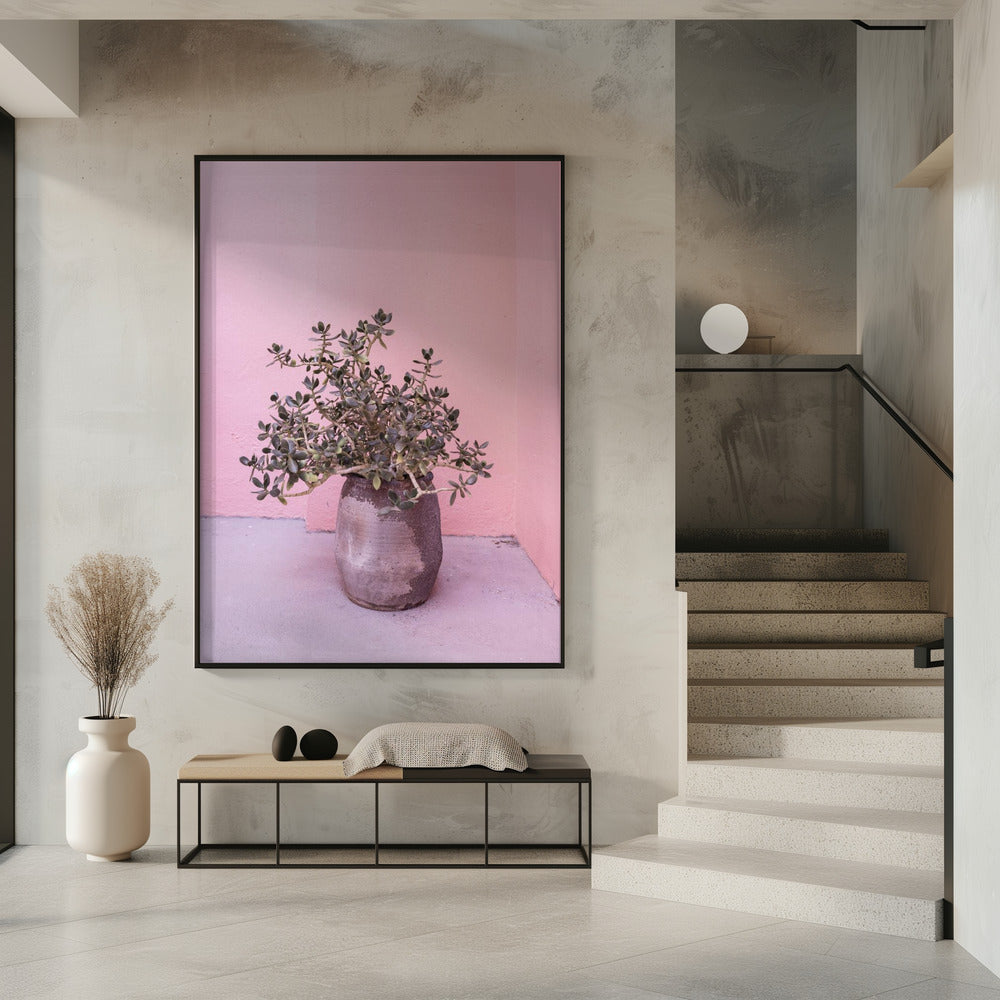 Spanish Rustic Succulent | Poster