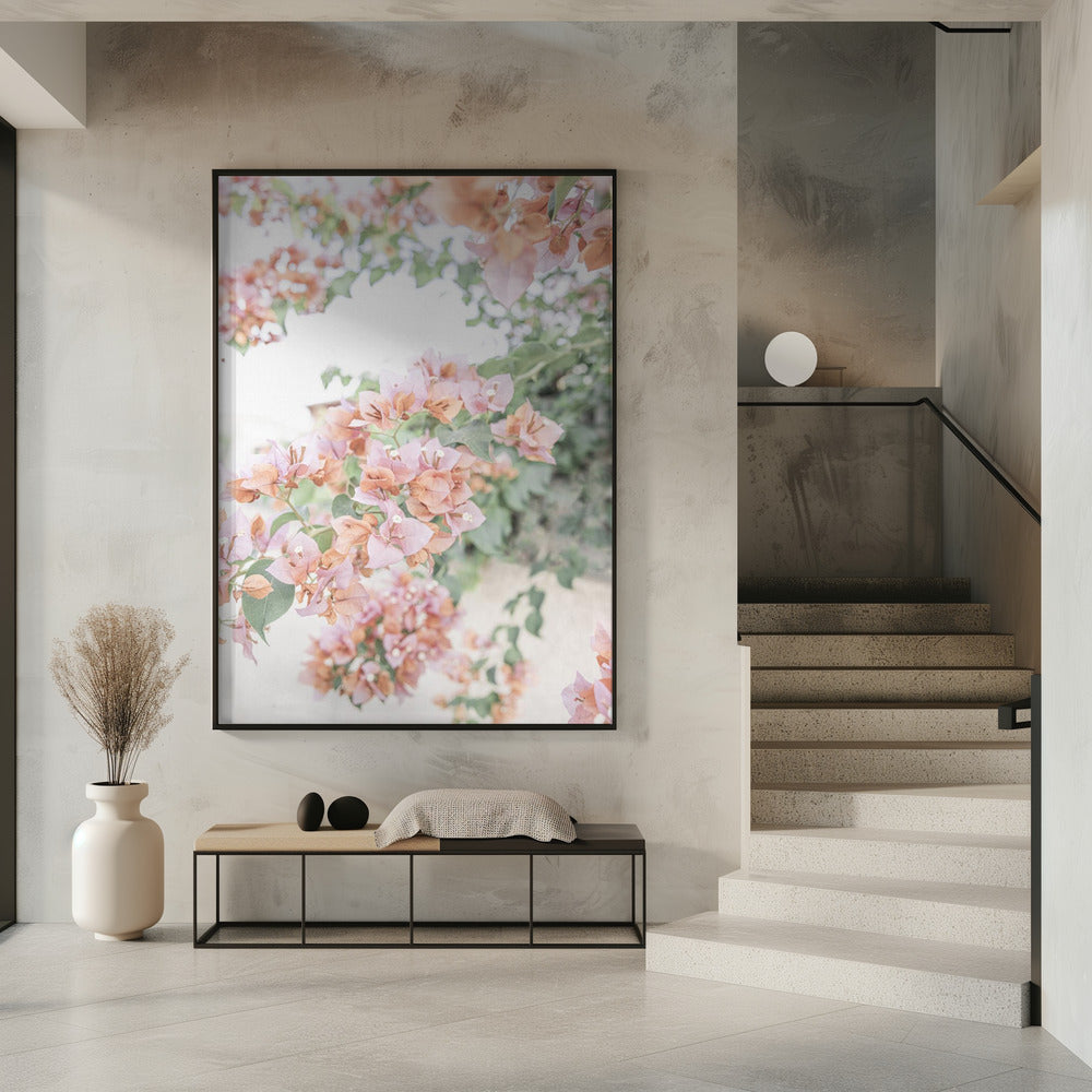 Peach Bougainvillea | Poster