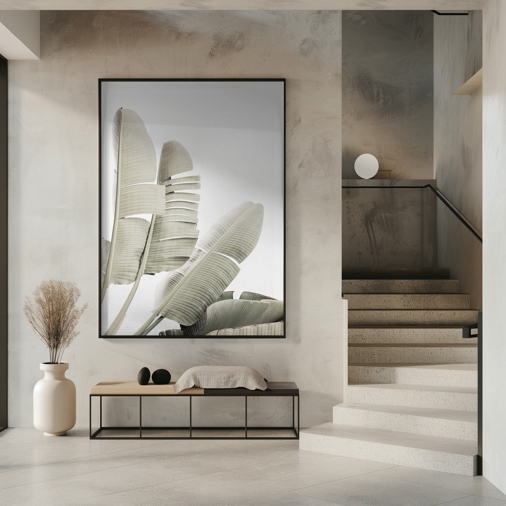 Banana leaf 2 | Poster