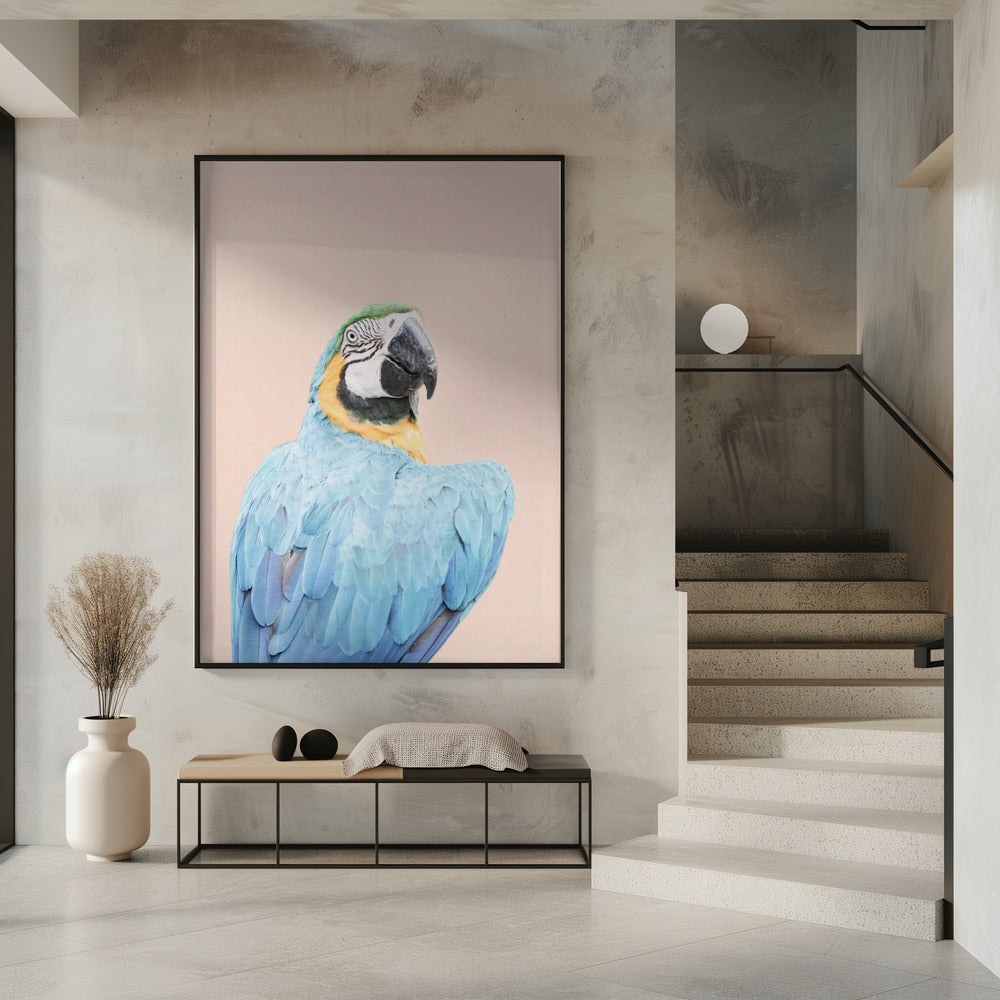 Blue Macaw | Poster