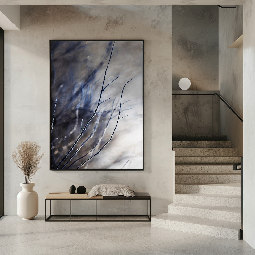 A Winter Morning 7 018a4832 | Poster