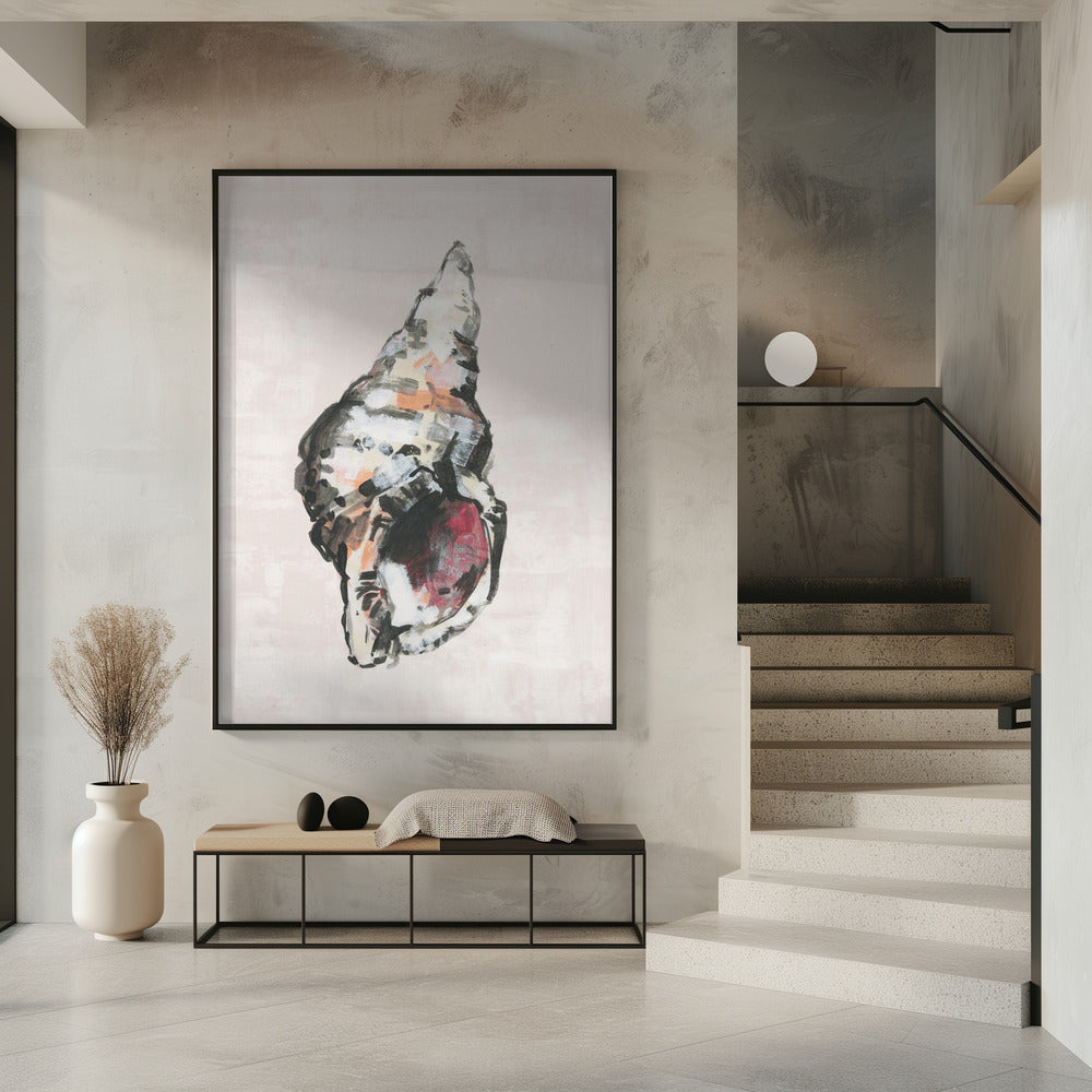Shell Collector Art Print No 2 | Poster