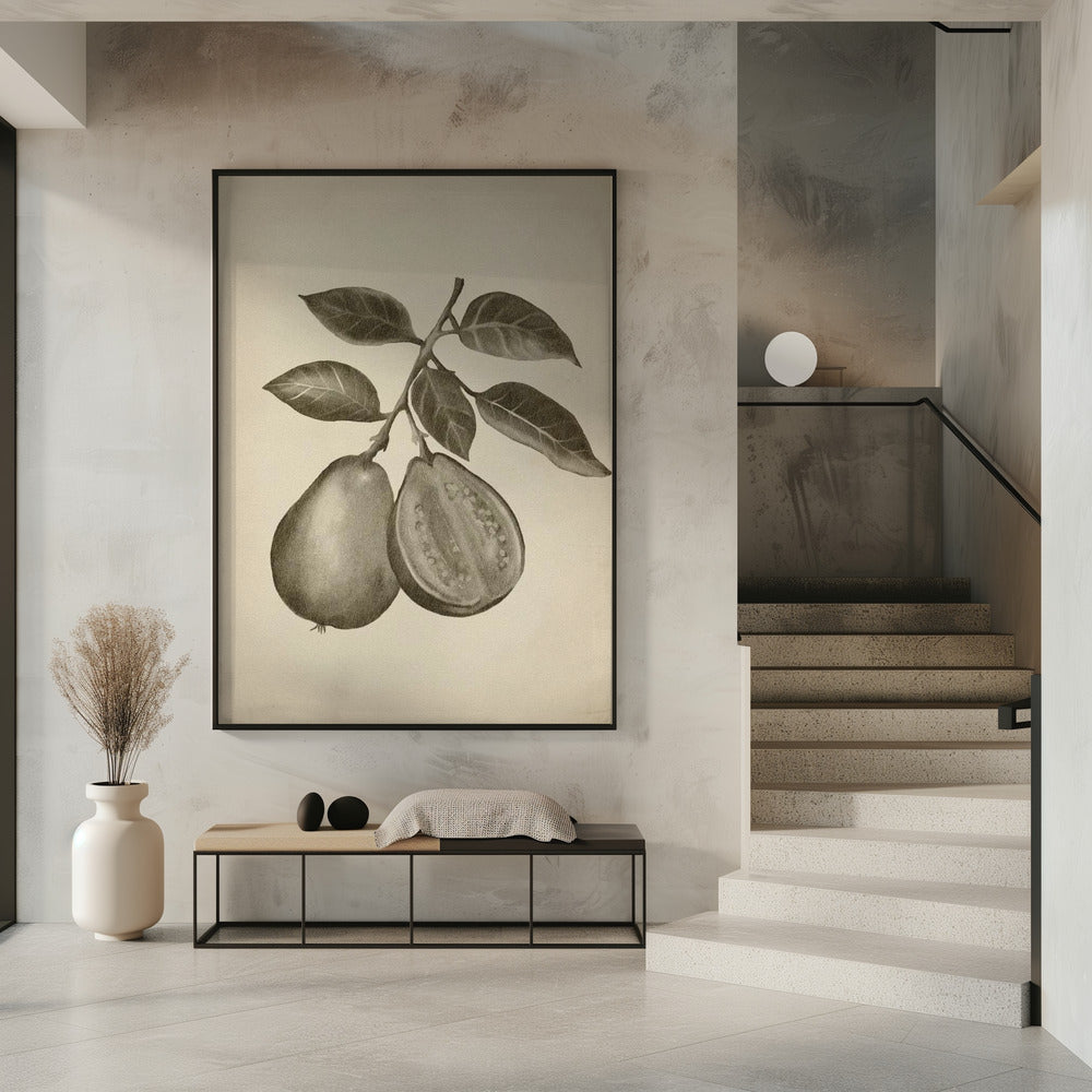 Vintage fruit | Poster