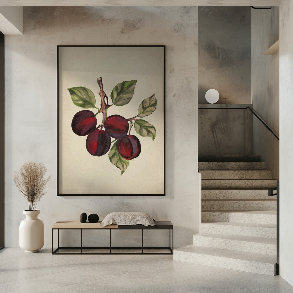 Vintage fruit collection | Poster
