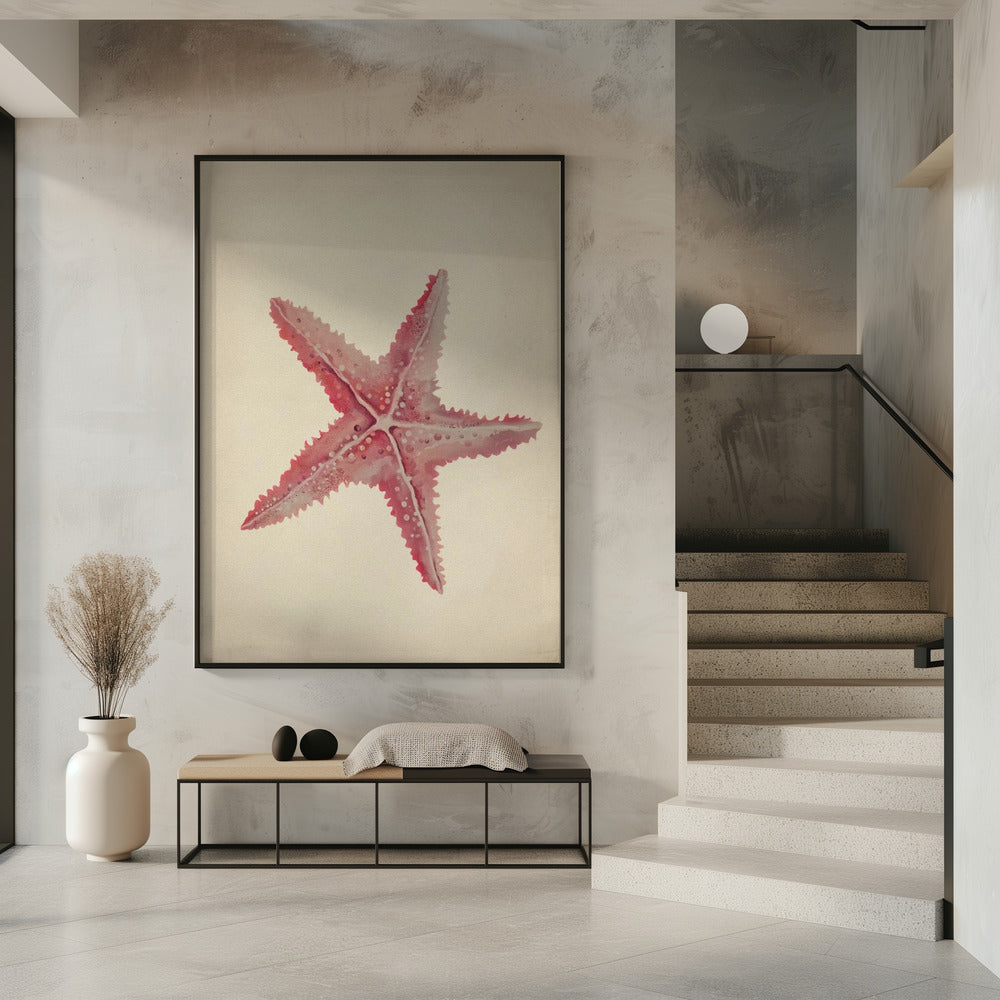 Vintage starfish painting | Poster