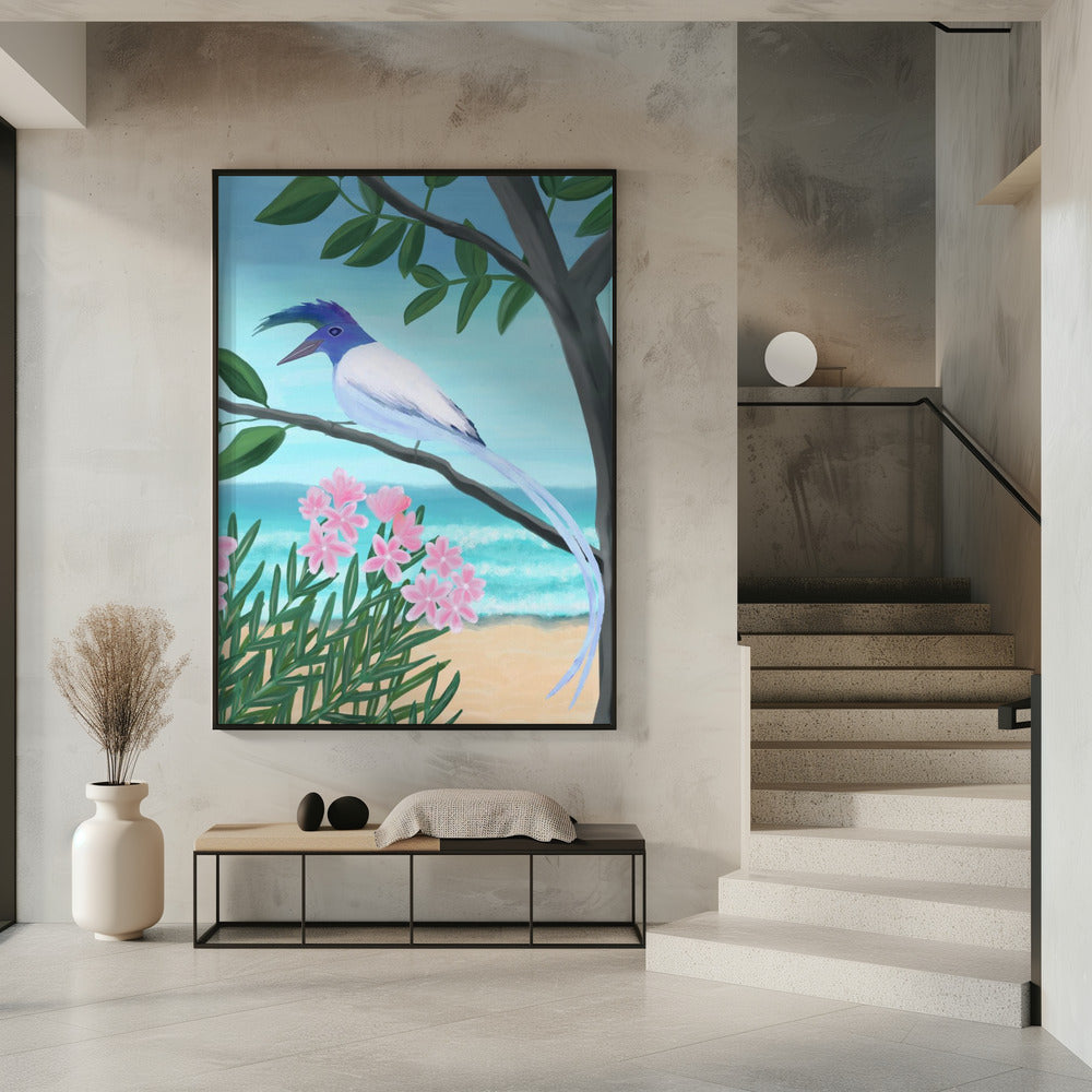 White-throated Magpie-Jay | Poster