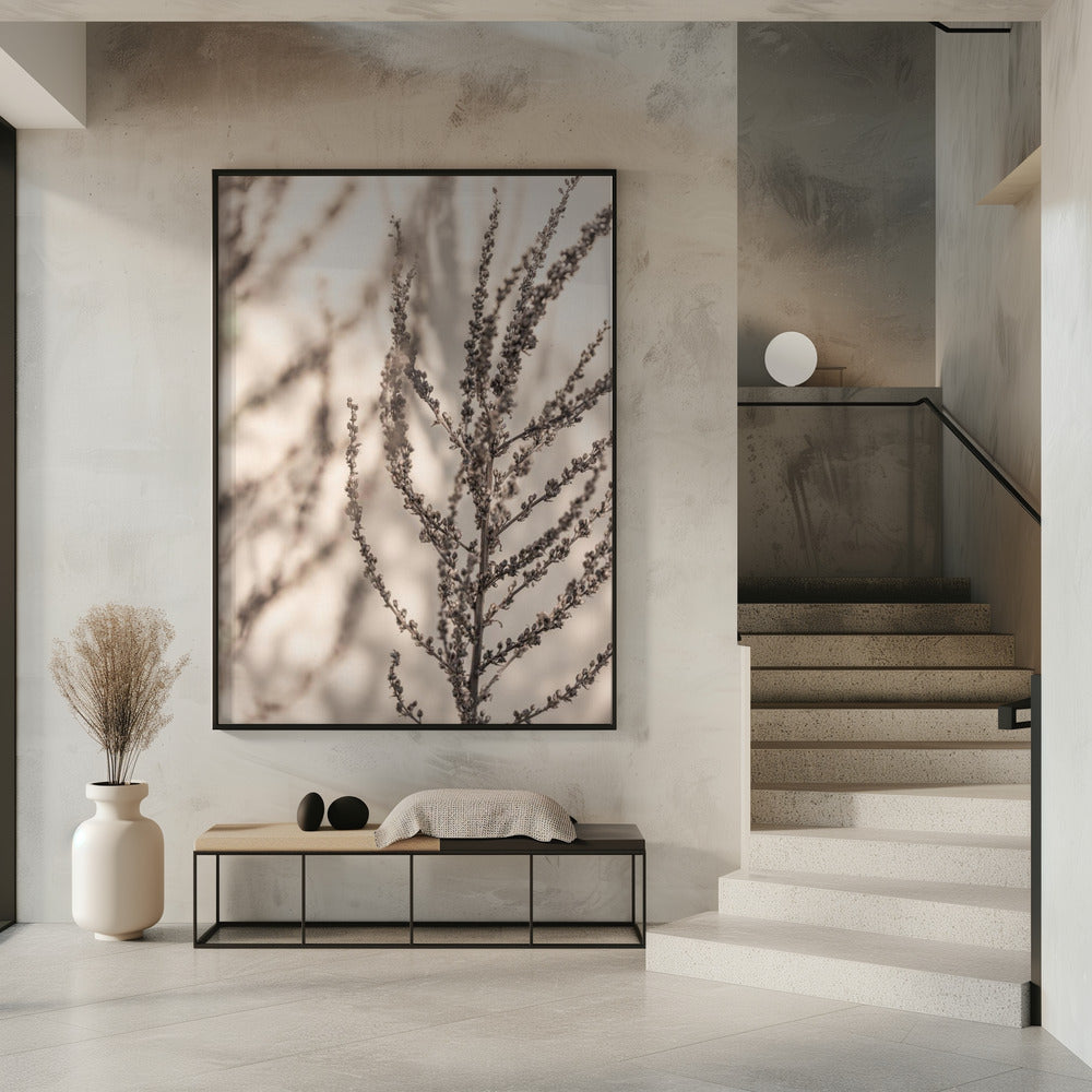 Summer Shadows 7X | Poster