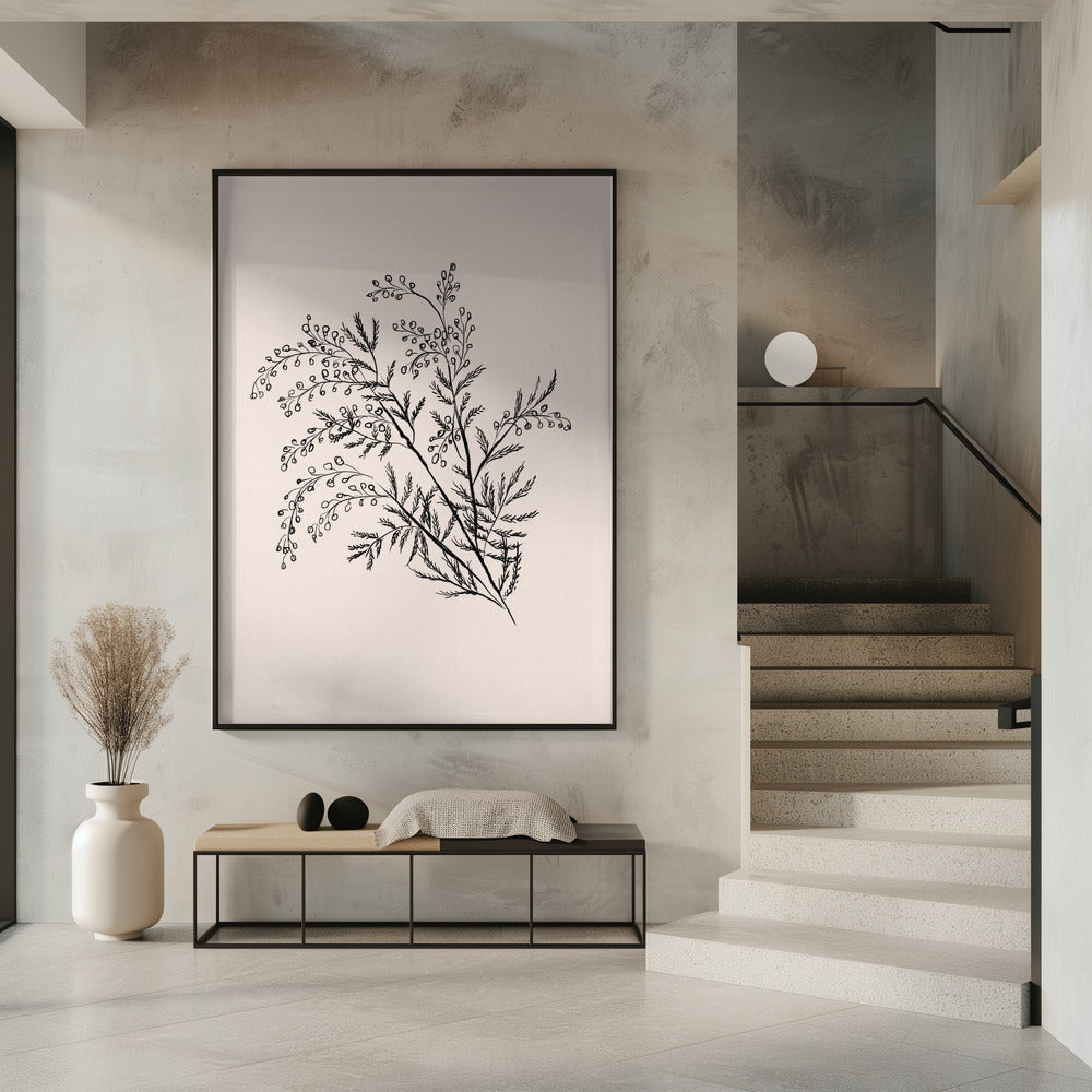 Acacia Botanical Branch | Poster