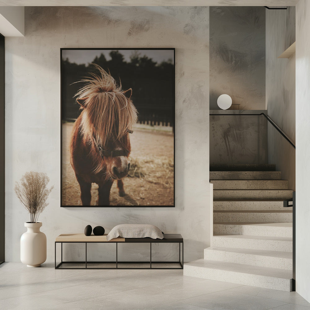 Pony with a Shaggy Mane | Poster