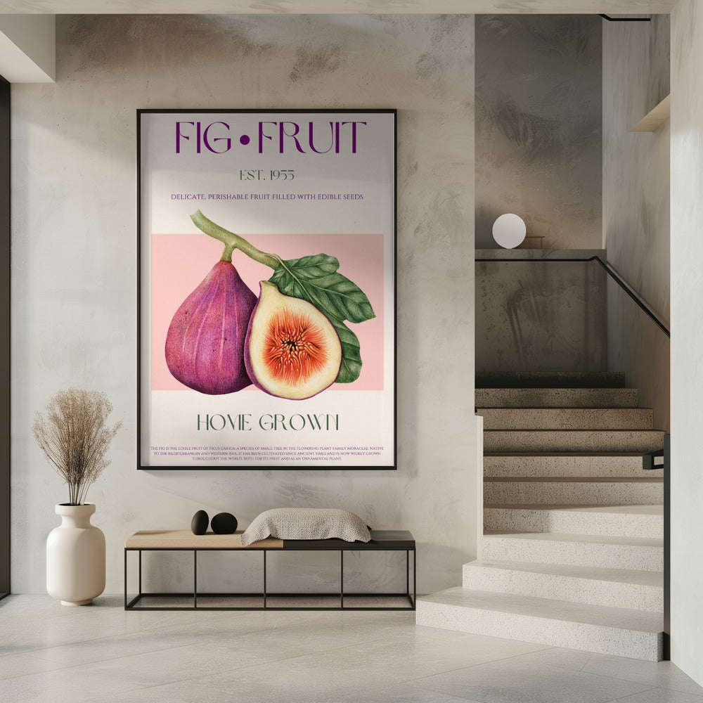 Vintage Fig Delight | Poster