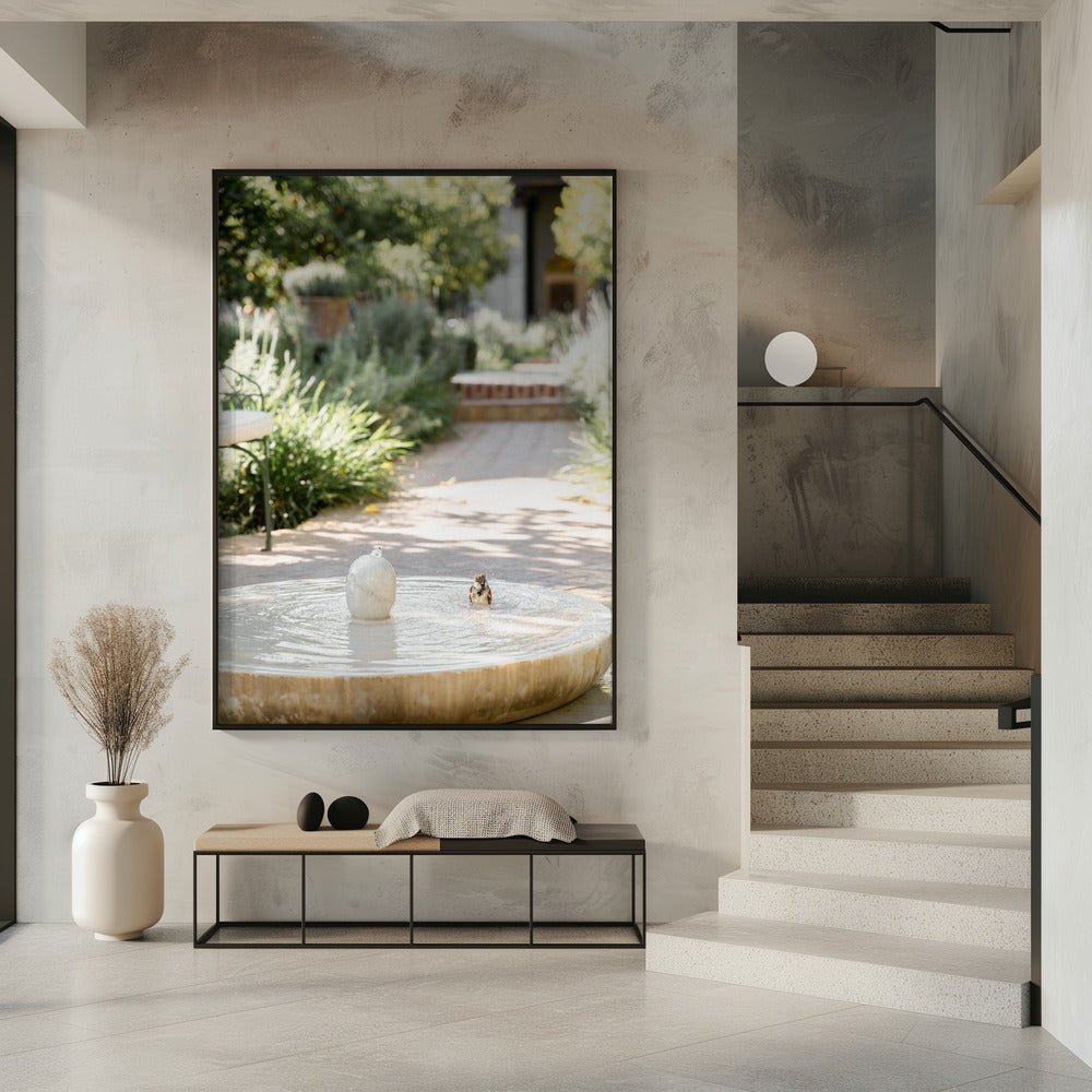 Feathers and Droplets | Poster