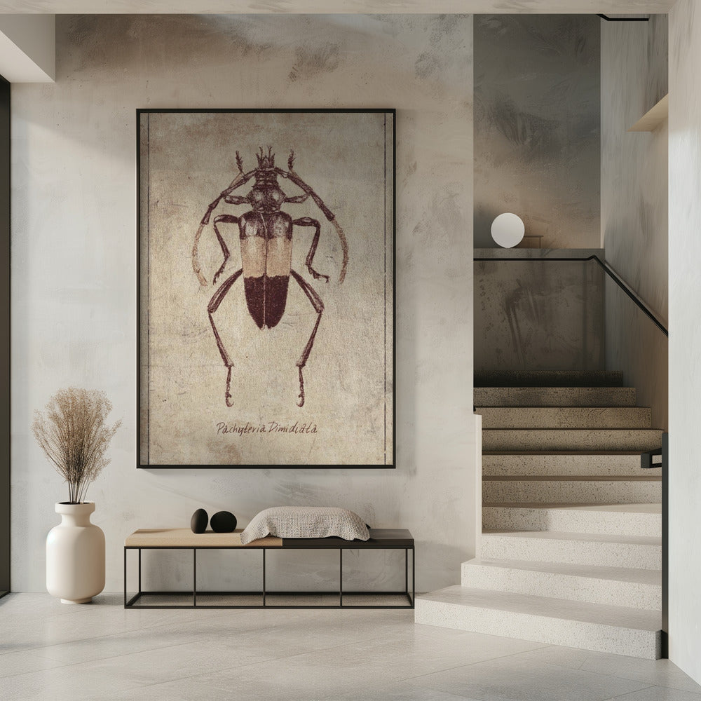 Vintage Insect Sketch | Poster