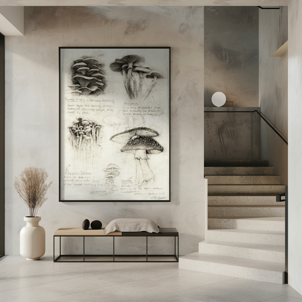 Various Botanical Mushrooms | Poster