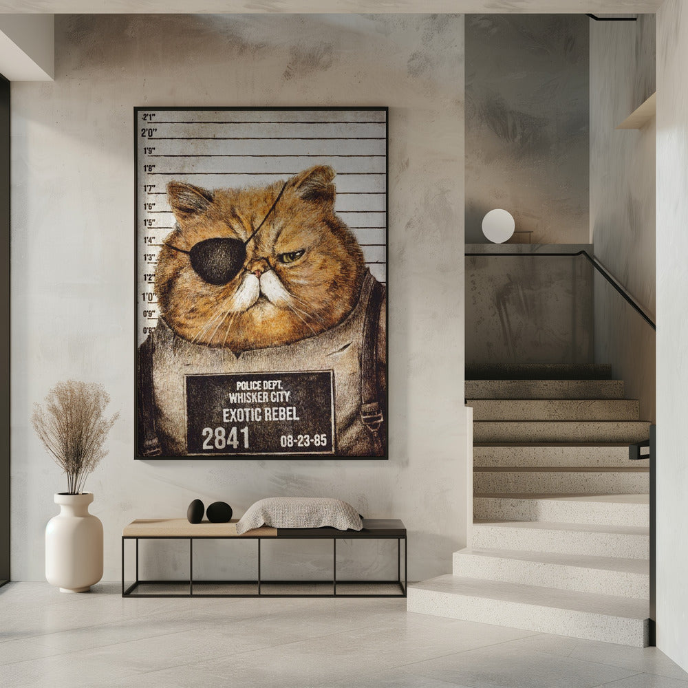 Funny Cat | Poster