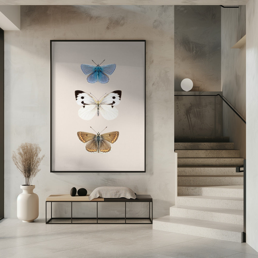 English Butterlies 2 | Poster