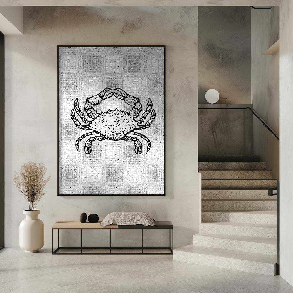 Black And White Crab | Poster