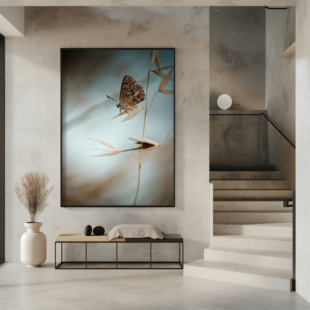 Dream in blue | Poster