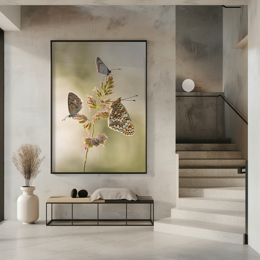 A kind of melting pot | Poster