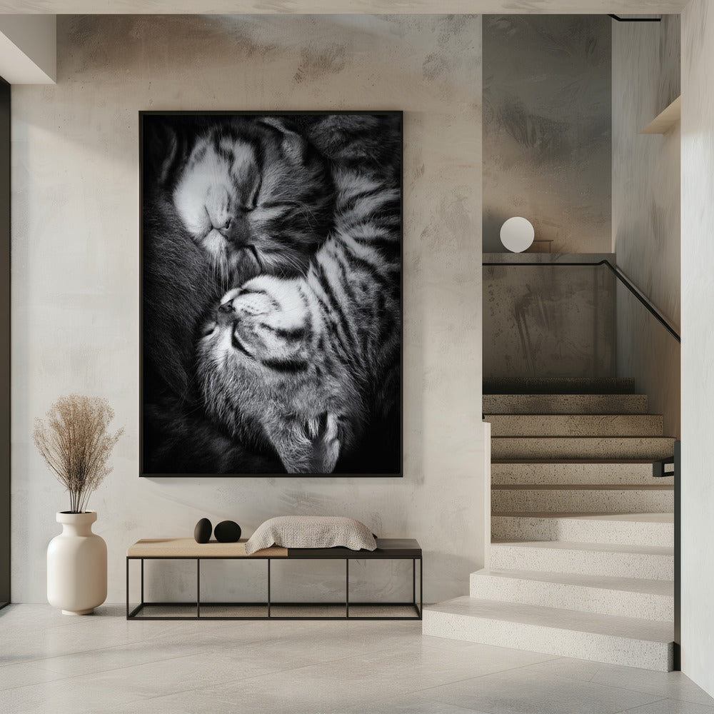 Yin and Yang | Poster